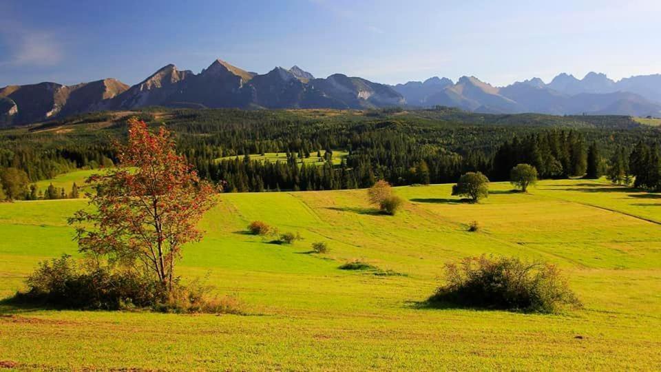 Pokoje Goscinne Panorama Rzepiska Εξωτερικό φωτογραφία